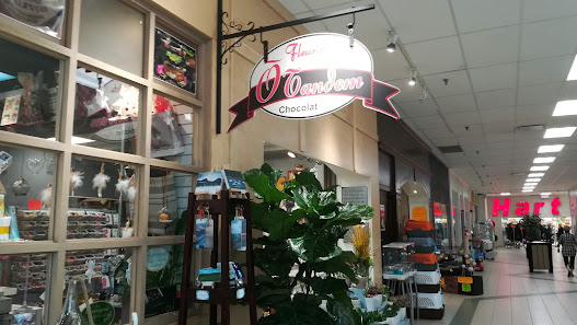 LE Centre Charlevoix photo 2