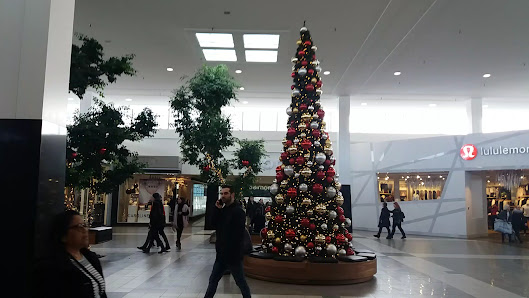 Place Ste-Foy photo 3