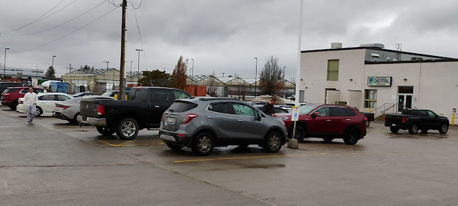 College Square Mall photo 2