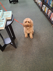 University Crossing photo 2