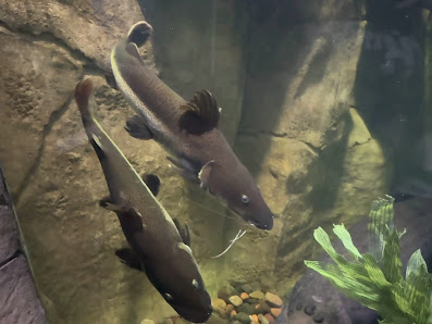 Roseville Plaza photo 3