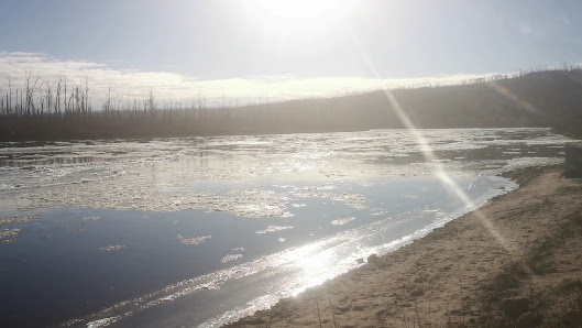 Clearwater Landing photo 3