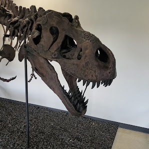 Discovery Center of Idaho photo 3