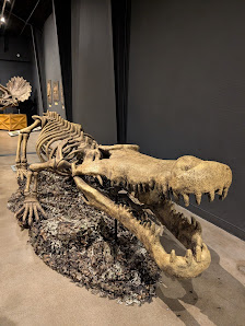 Discovery Center of Idaho photo 4