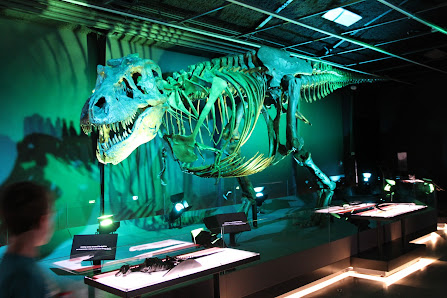 Discovery Center of Idaho photo 5