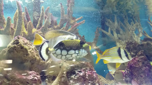 Airport Mall photo 3