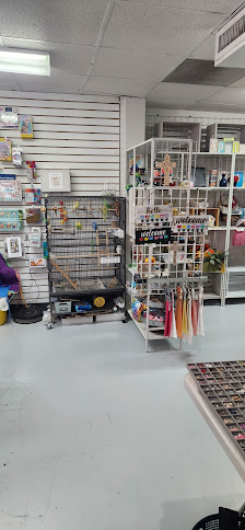 Town & Country Shopping Center photo 2