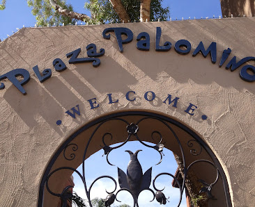 Plaza Palomino photo 7