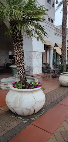 Village Square At Dana Park photo 3