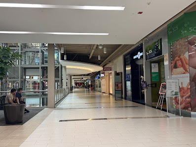 Palisades Center photo 4