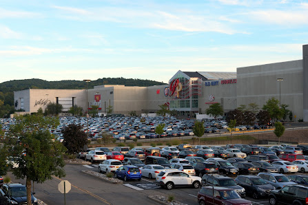 Palisades Center photo 6