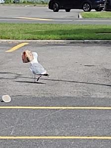 Place Kennedy photo 3