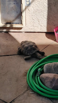 Greenfield Gateway photo 3