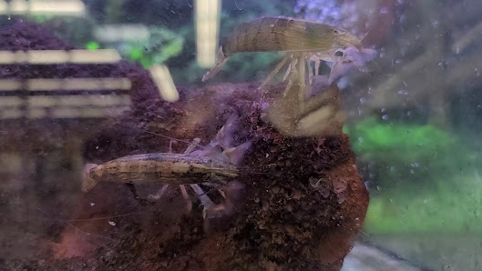 Epic West Towne Crossing photo 3