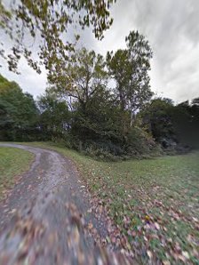 Turkey Creek photo 6