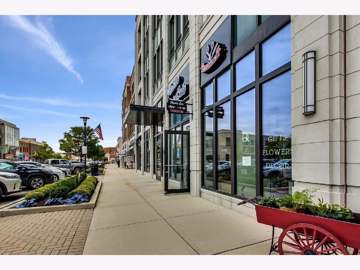 Burr Ridge Village Center