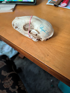 Fairfield Antique Mall photo 2