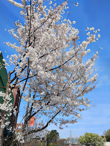 Granddaddy's Antique Mall photo 2