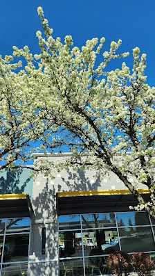 Fubonn Shopping Center photo 2