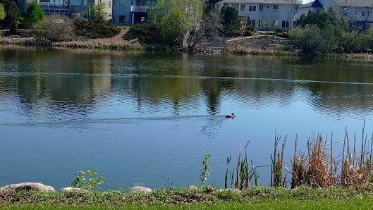 Windsor Park Mall photo 2