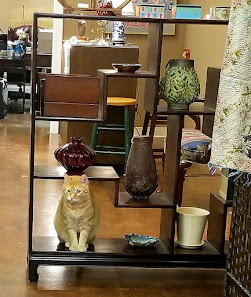 Trace Station photo 2