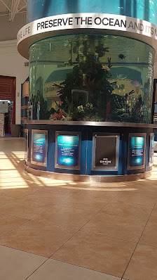 Coral Square photo 3