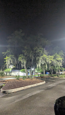 Wilmington Island photo 2