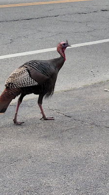 Garden Hills Plaza photo 3