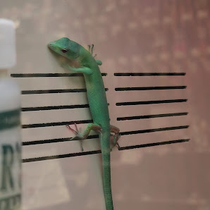 Roseville Center photo 3