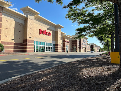 South Square photo 1