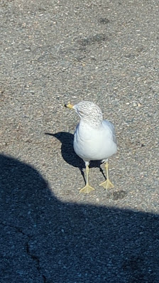 Shops At Stratford Hills photo 3