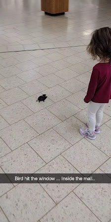 Westland Mall photo 3