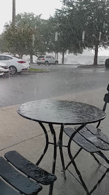 St. Charles Plaza photo 3