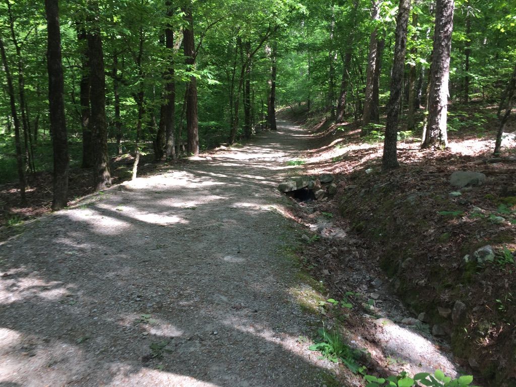 Central Avenue Market Place