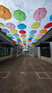 Destin Commons photo 2