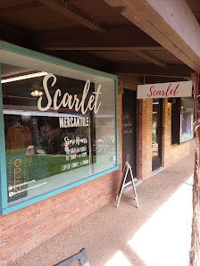 Cactus Alley photo 5