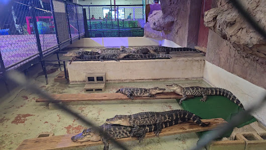 Citrus Park Town Center photo 3