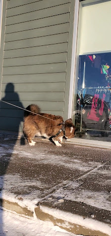 Creekside Crossing photo 3