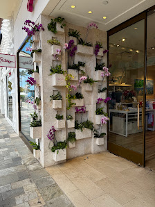 Whalers Village photo 1