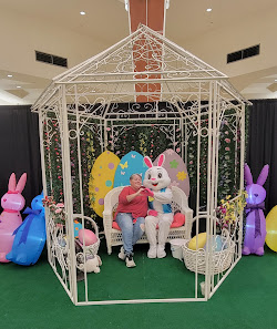 Pierre Bossier Mall photo 2