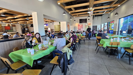 Plaza Renacimiento photo 2