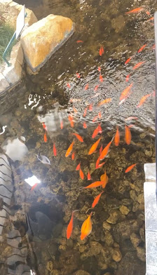 Market Mall Mini Golf photo 2