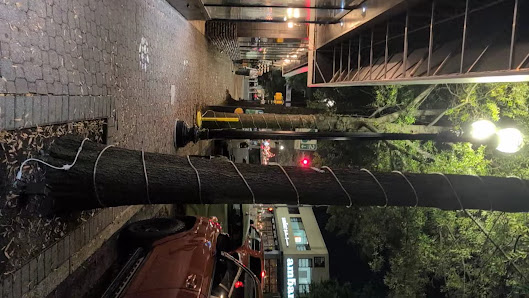 The Crossing Clarendon photo 3