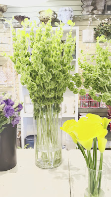 Legacy Village at Spring Hill photo 3