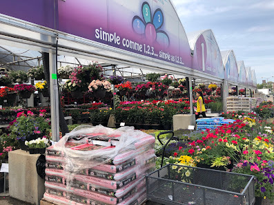 Central Market photo 4