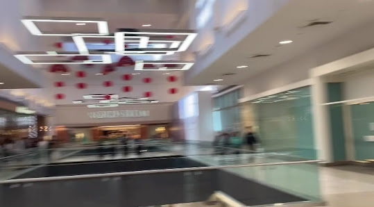 The Shops at Park Lane photo 3