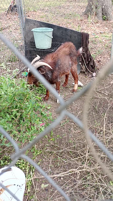 Vicksburg Mall photo 3