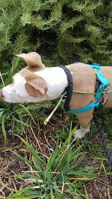 Harbison Center photo 3