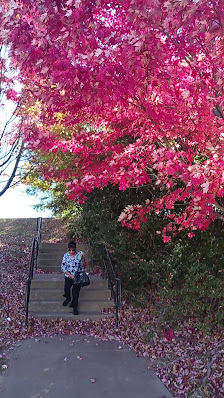 Western North Carolina Town Center photo 3