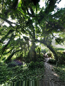 Napili Plaza photo 5